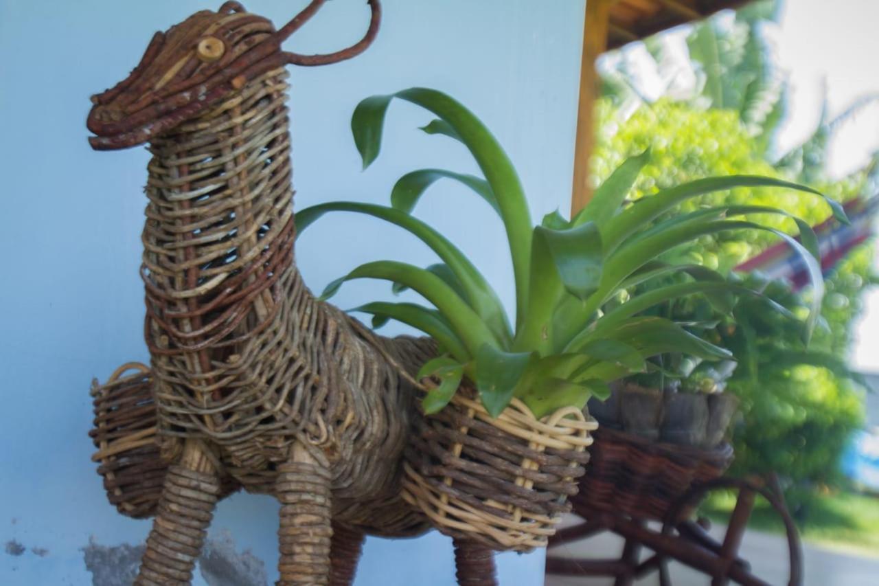 Recanto Ancora Azul - Taipu De Fora Barra Grande  Exterior foto